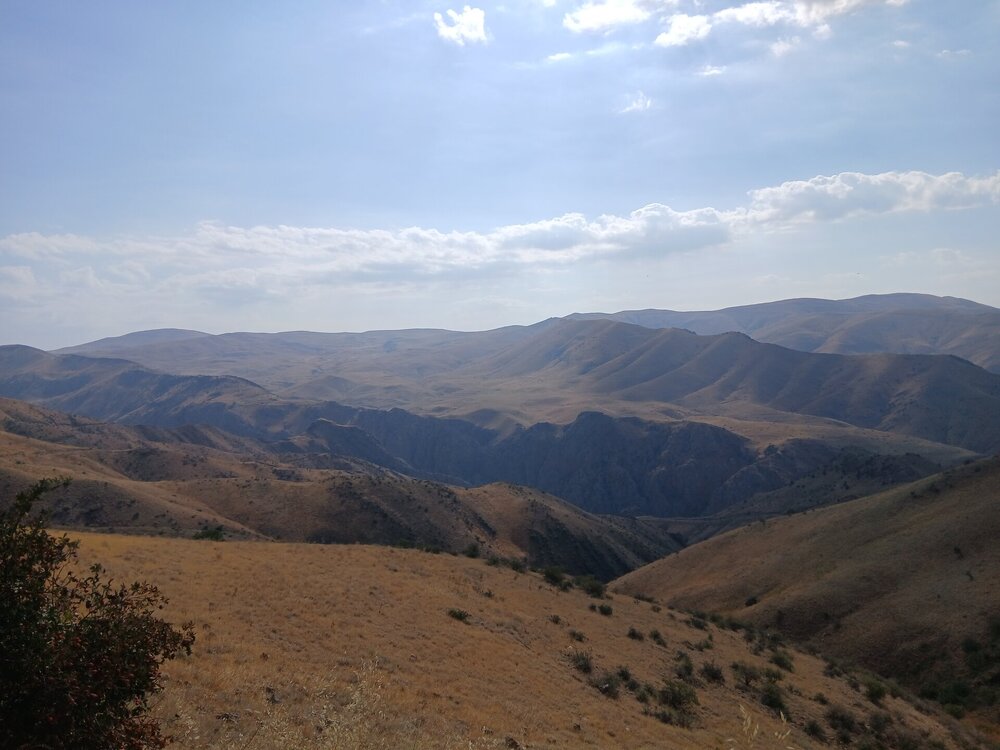 254.jpg