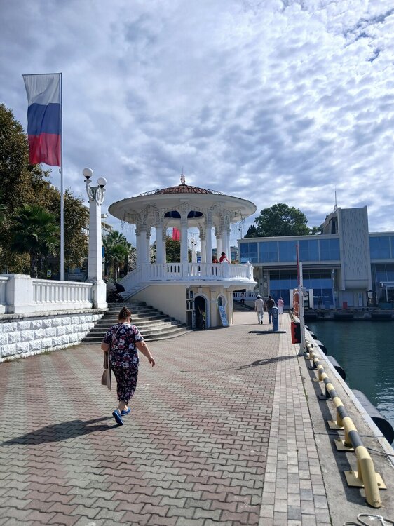 370.jpg