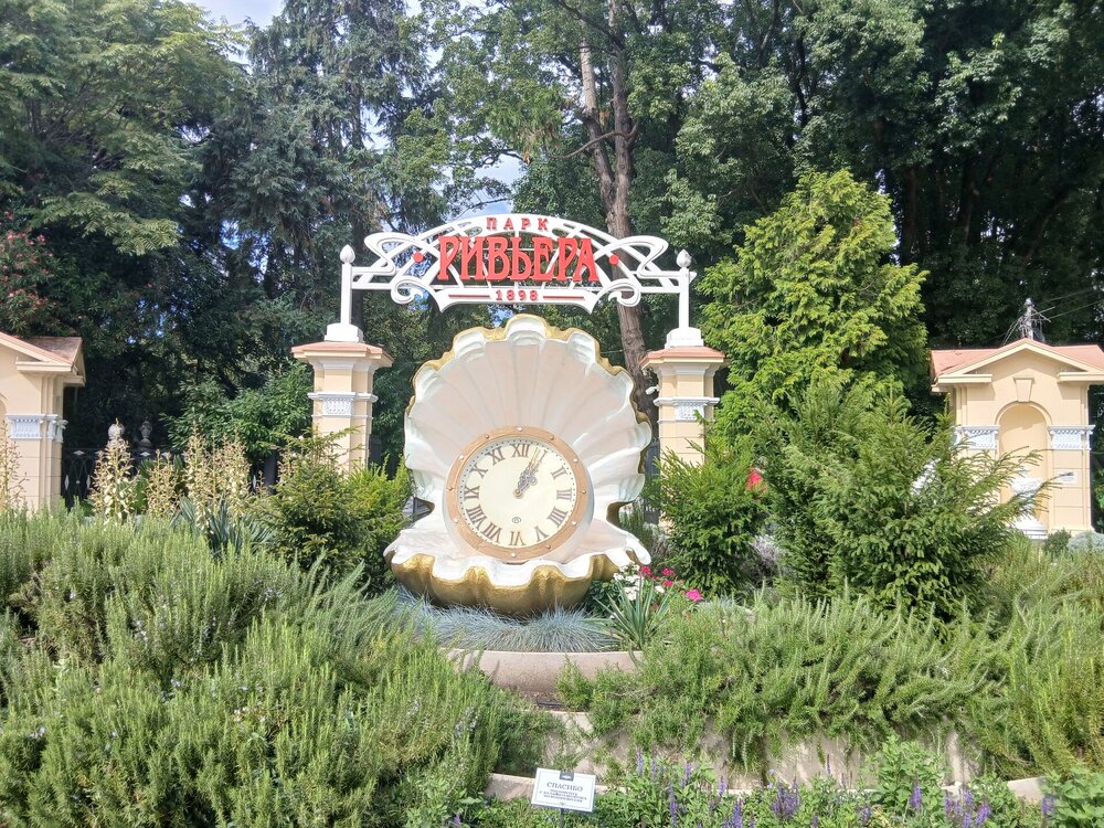 377.jpg