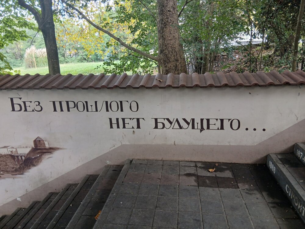 389.jpg