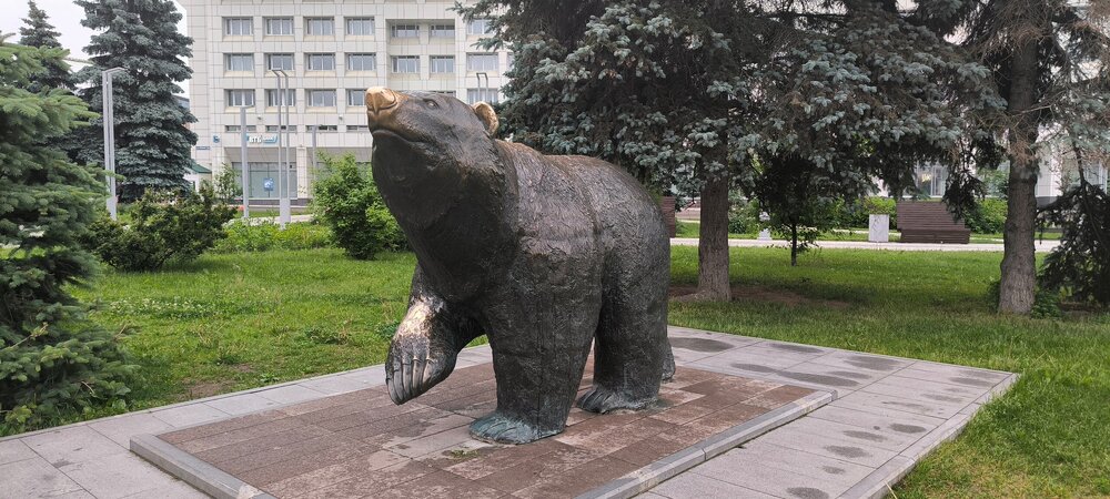 IMG_20260612_072005.jpg