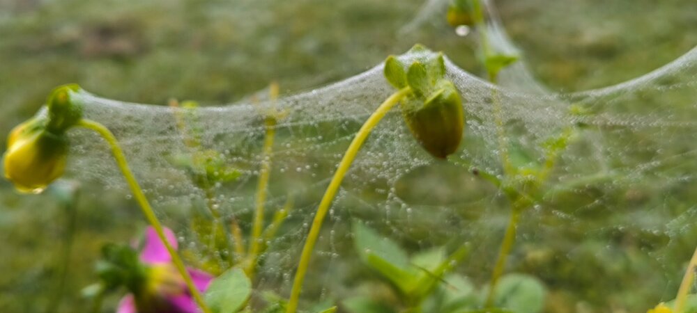 IMG_20261003_120117.jpg