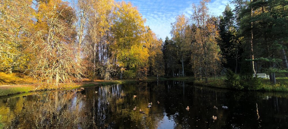 IMG_20261003_165231.jpg