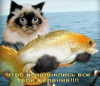 20122103151354.jpg