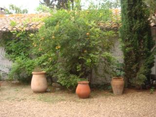 DSC06713.JPG