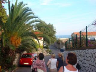 DSC07071.JPG