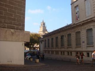 DSC06642.JPG