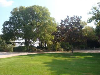 DSC06672.JPG