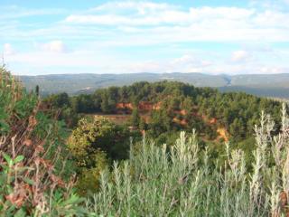 DSC06915.JPG
