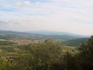 DSC06853.JPG