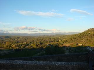 DSC06939.JPG