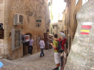 DSC06866.JPG