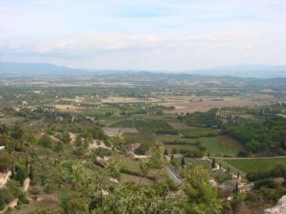 DSC06857.JPG