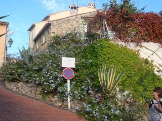 DSC07073.JPG