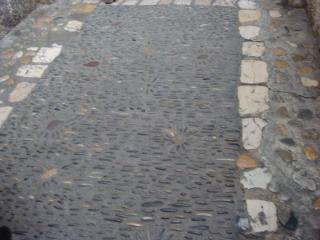 DSC07233.JPG