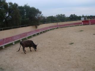 DSC06763.JPG