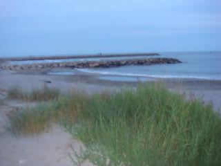 DSC06776.JPG