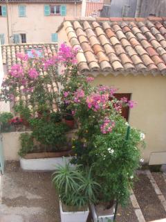 DSC06990.JPG