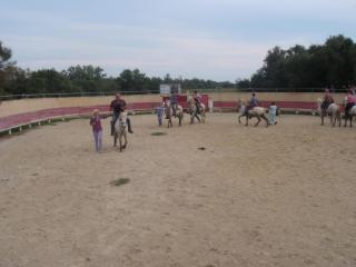 DSC06729.JPG