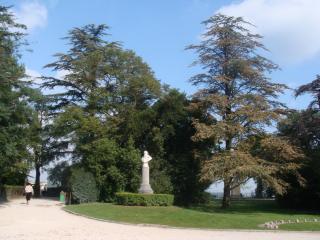 DSC06671.JPG