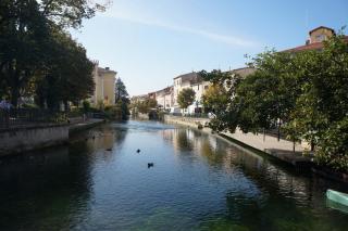 DSC06015.JPG