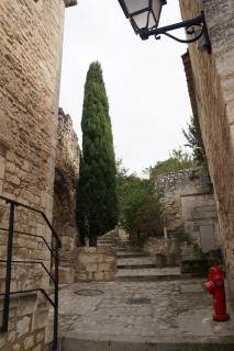 DSC05749.JPG