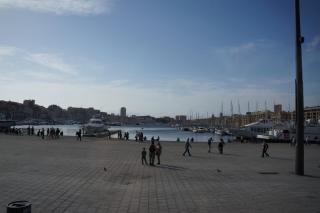 DSC05512.JPG