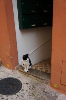 DSC05248.JPG