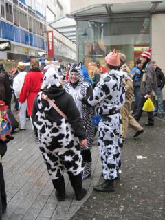 IMG_3847.jpg