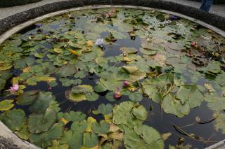 DSC05164.JPG