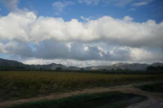 DSC05888.JPG