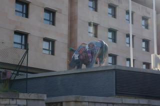 DSC05523.JPG