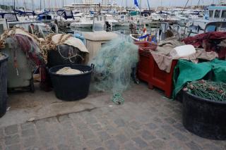 DSC05355.JPG