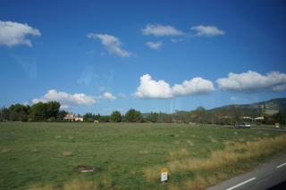 DSC06066.JPG