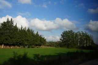 DSC05903.JPG