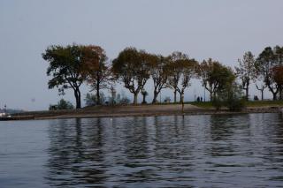 DSC05133.JPG