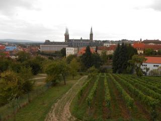 DSCN0155.JPG