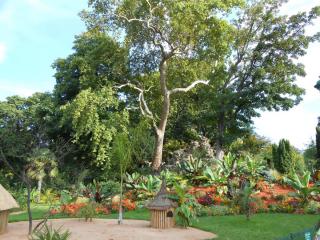 DSCN0240.JPG