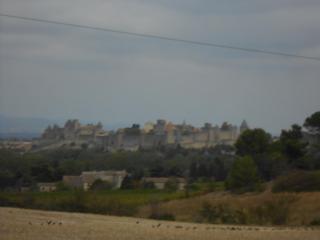 DSCN1016.JPG