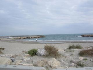 IMG_3540.JPG