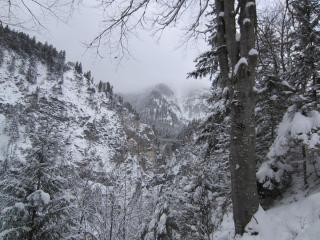 IMG_0184.JPG