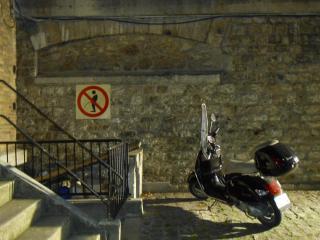DSCN0333.JPG