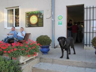 IMG_2873.JPG