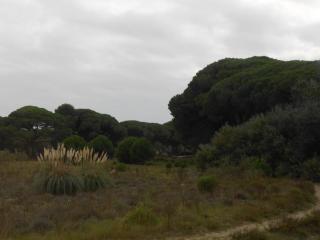 DSCN1192.JPG