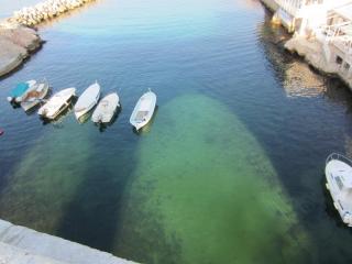 IMG_3400.JPG
