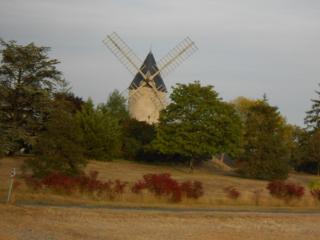 DSCN0785.JPG