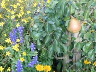 DSCN0624.JPG