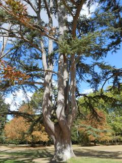 DSCN0529.JPG