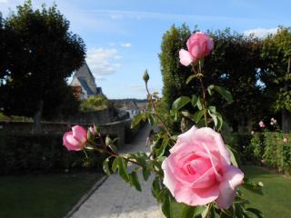 DSCN0609.JPG