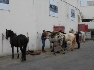 DSCN1185.JPG